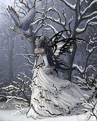 满身风雪回了家